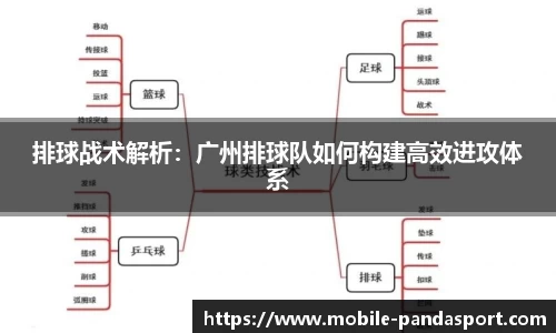 排球战术解析：广州排球队如何构建高效进攻体系