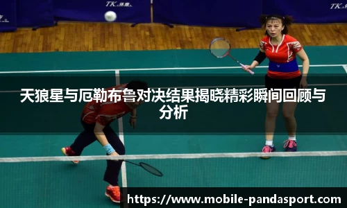 天狼星与厄勒布鲁对决结果揭晓精彩瞬间回顾与分析